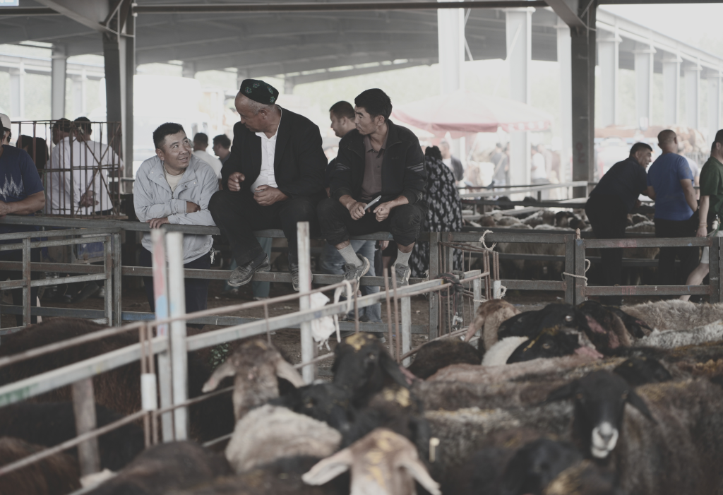 Gran Bazaar e il Mercato del Bestiame, Kashgar