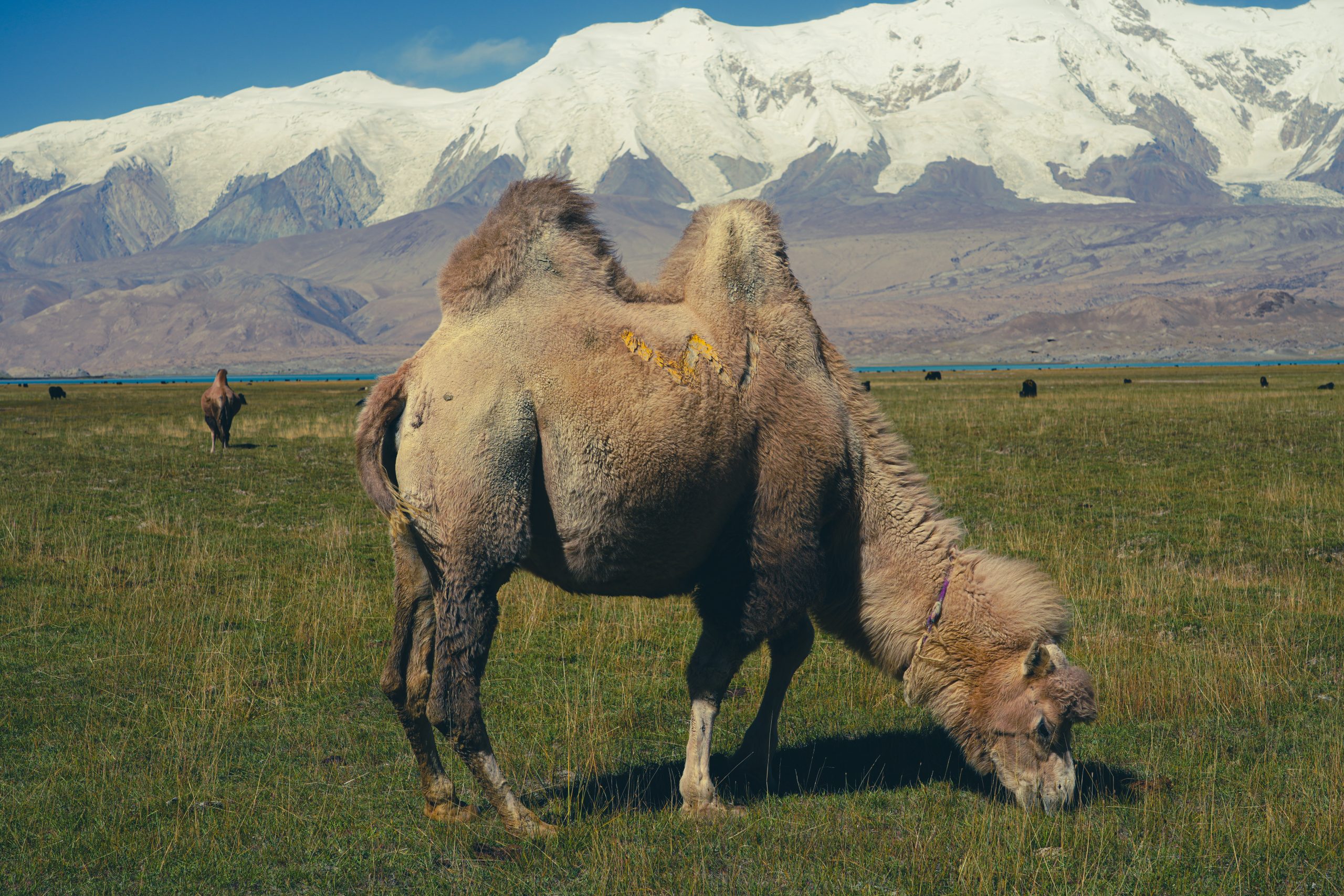 Cosa vedere sulla Karakorum Highway: Xinjiang
